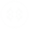 AGI Arena Logo